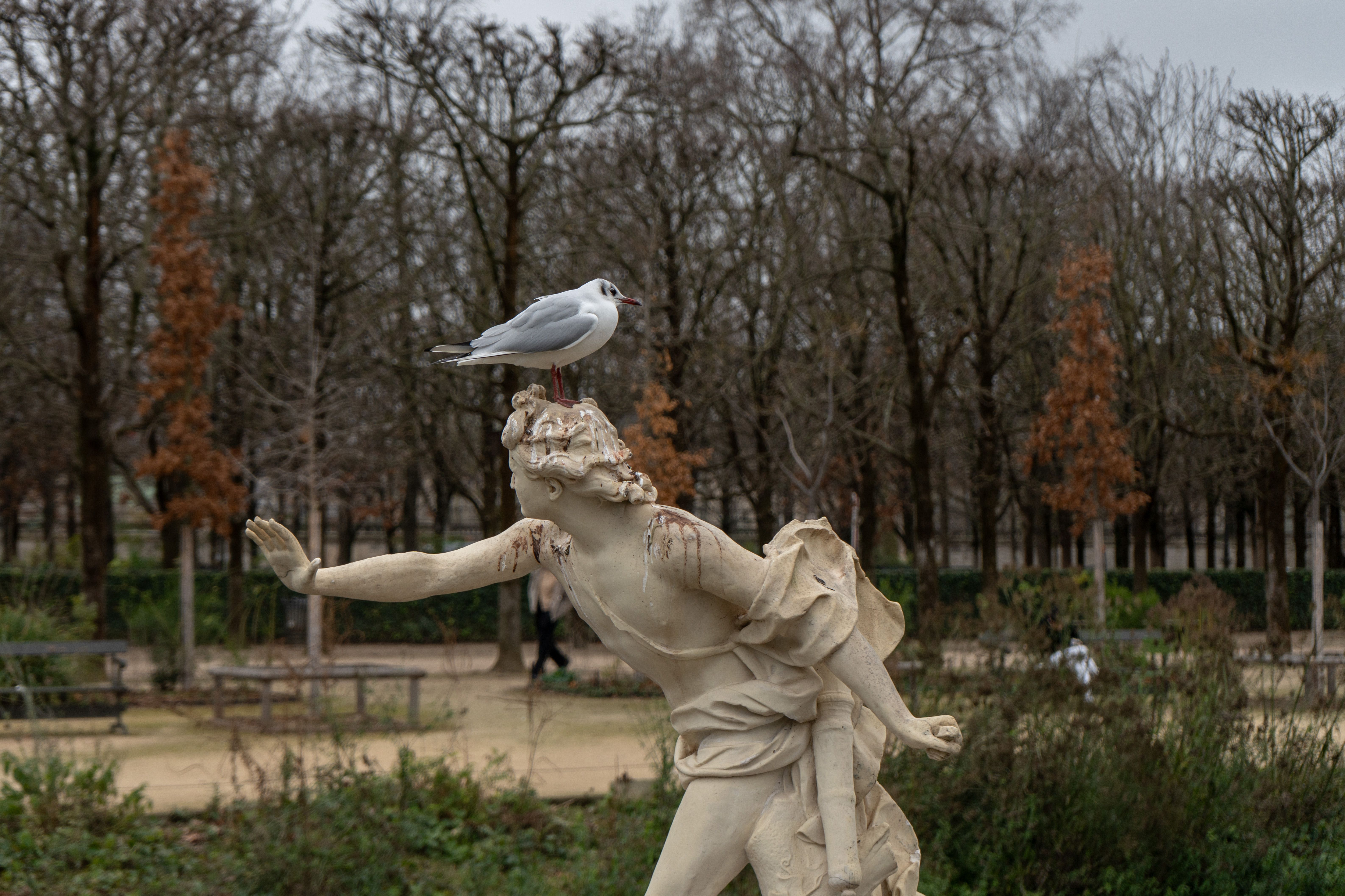 The Gardens of the Musée Rodin