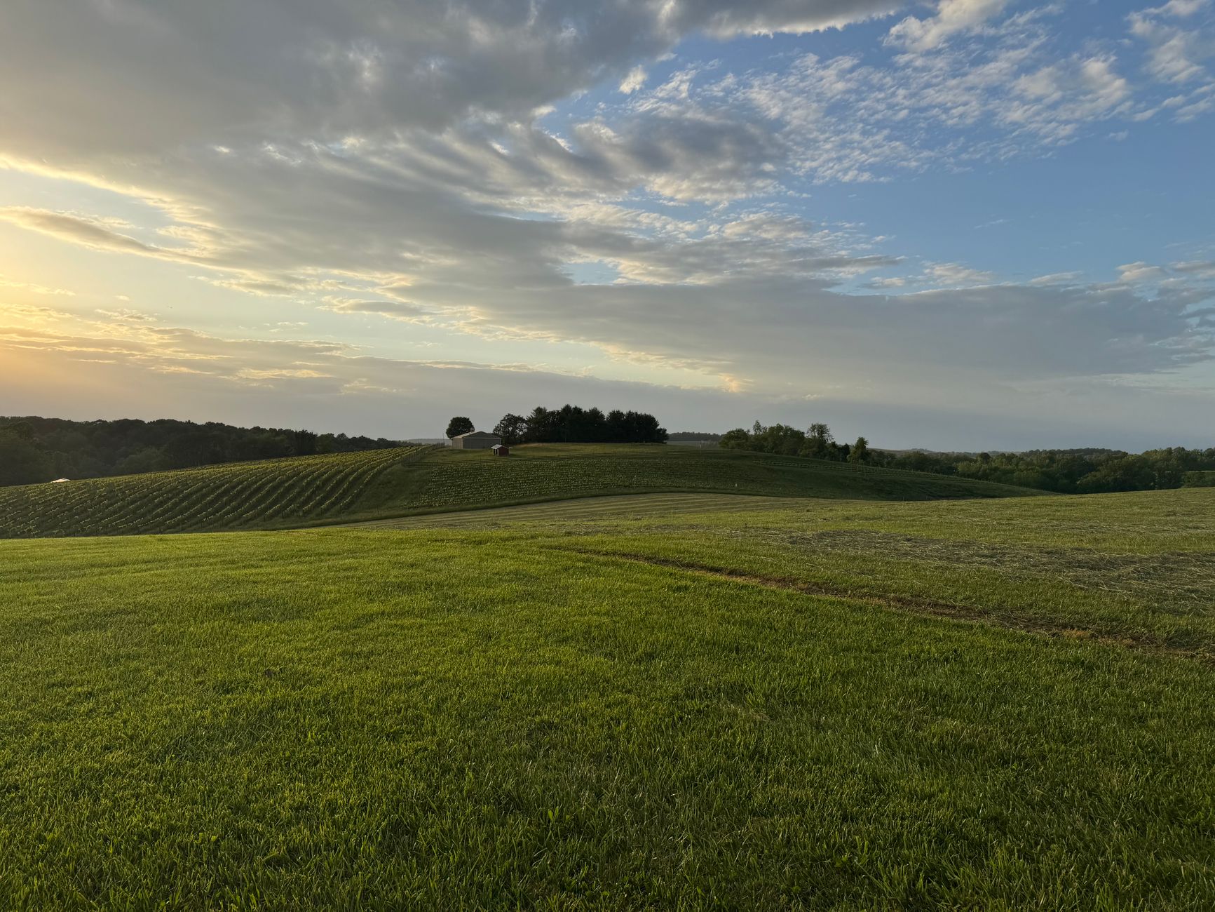 Rolling farmland with tobacco barn near Cedar Hill Tennessee