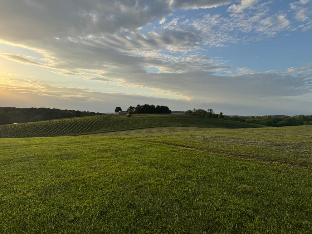 Serene Rolling Hills at Sunset in Summer · Free Stock Photo
