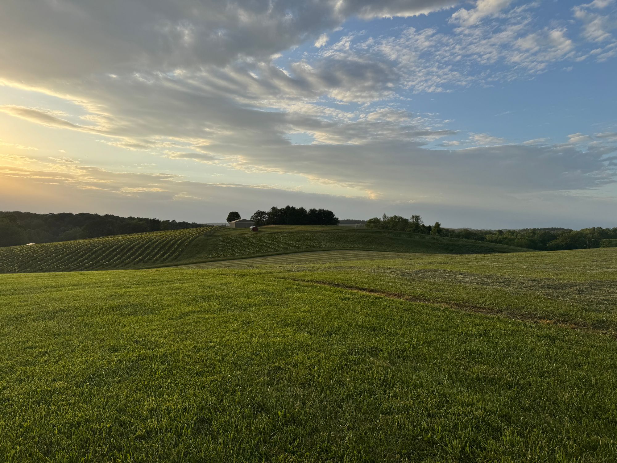 Serene Rolling Hills at Sunset in Summer · Free Stock Photo