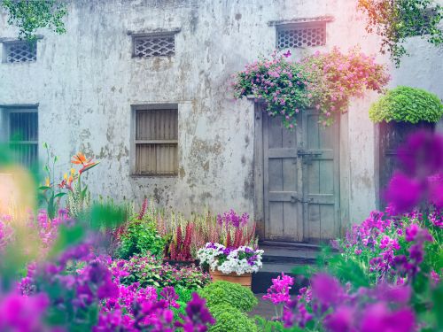 Free stock photo of 4k wallpaper, beautiful flower, beautiful wallpaper Stock Photo