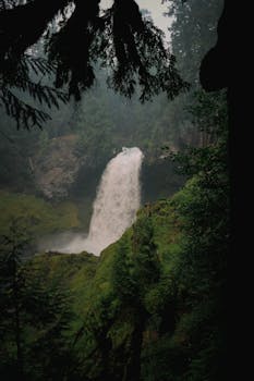 Stunning view of a waterfall in Oregon's verdant forest captured in daylight.