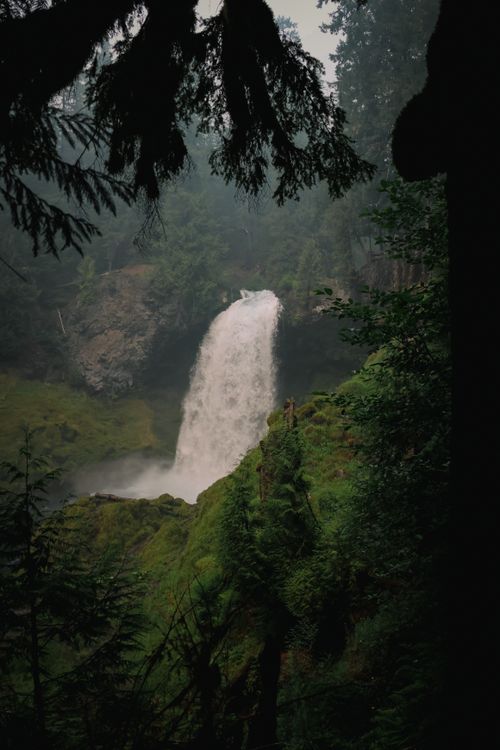 Free Stunning view of a waterfall in Oregon's verdant forest captured in daylight. Stock Photo