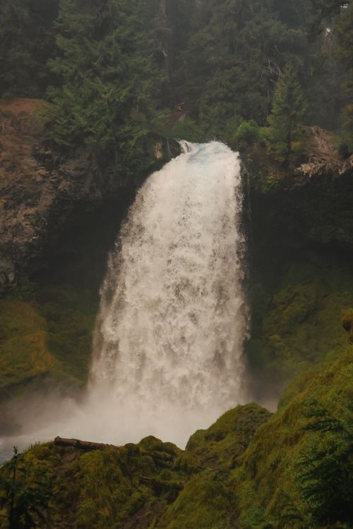 Free Stunning waterfall cascades in a lush green forest, Oregon, offering a serene natural escape. Stock Photo