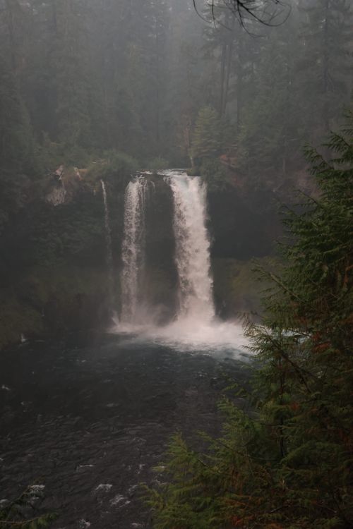 Free Breathtaking view of a powerful waterfall in the lush forests of Oregon. Stock Photo