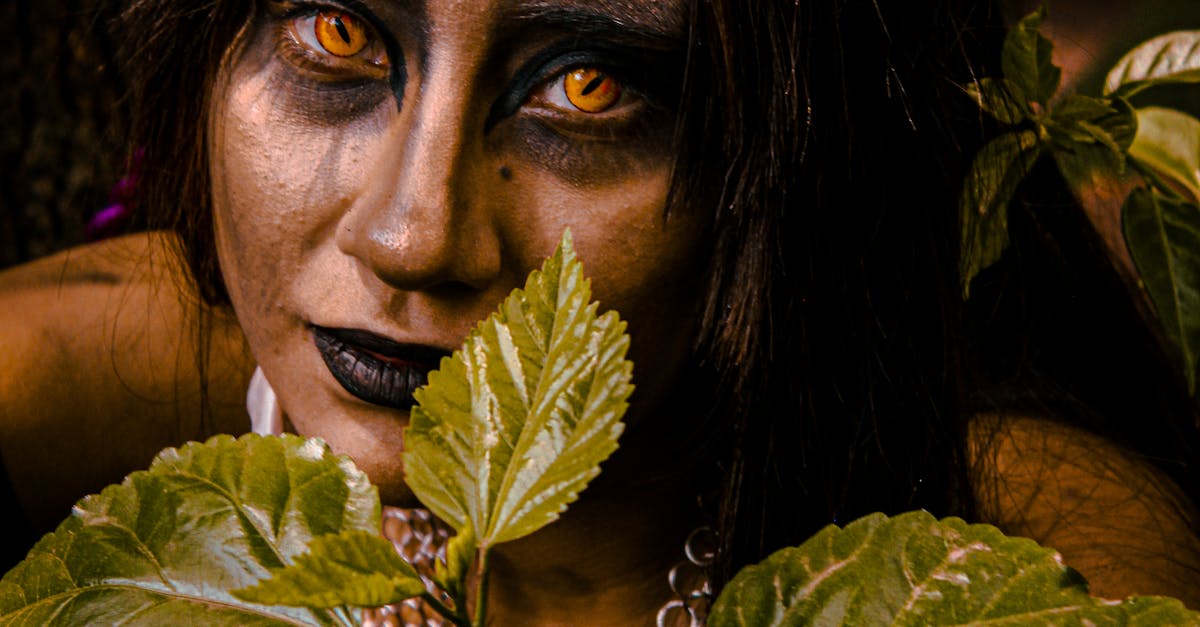 奇幻生活 i 轉圈圈的龍和偷取時間的少女 Nintendo Switch 2 Edition 正式登場