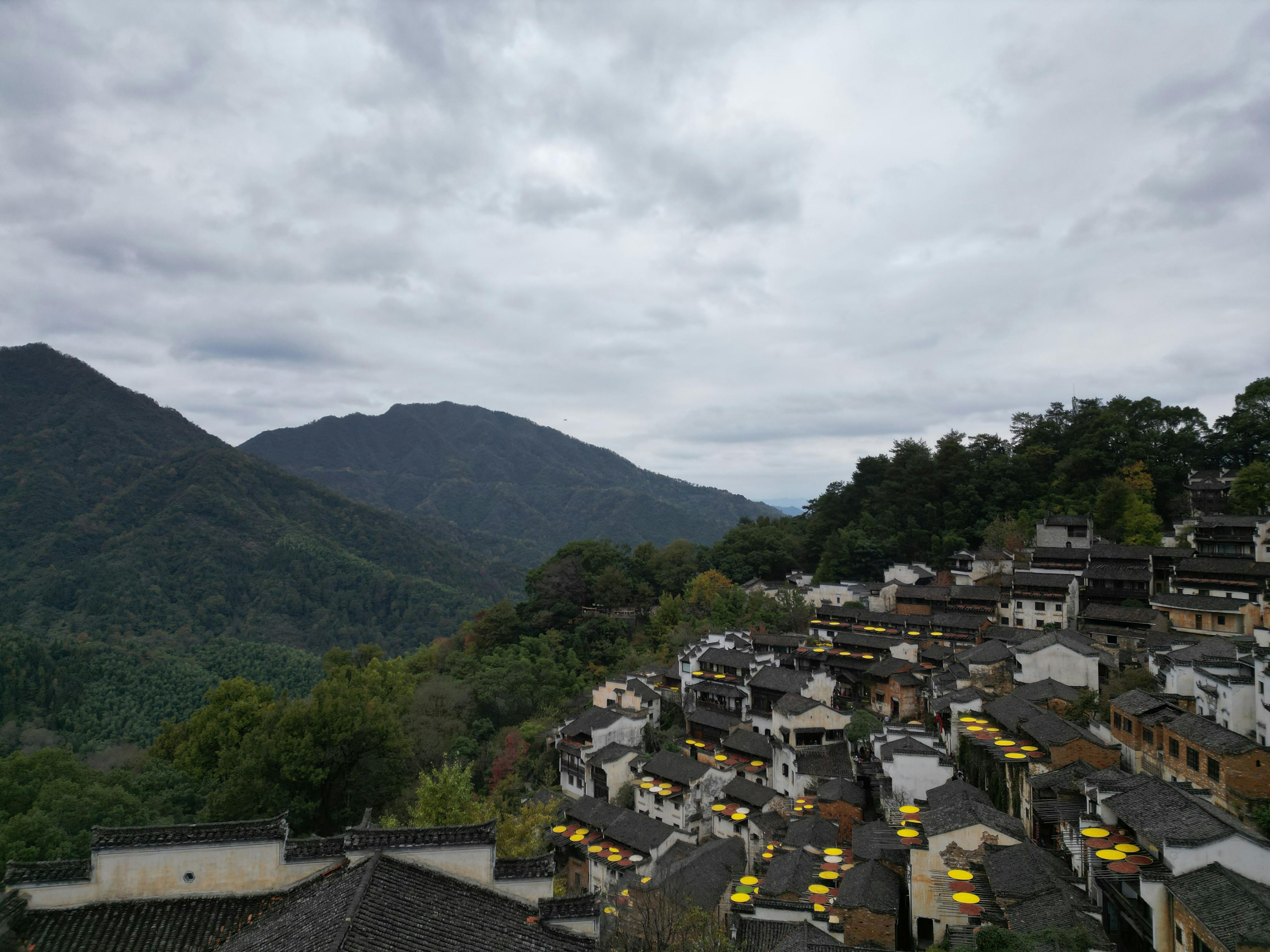 A Tree In A Forest A Collection Of Ajahn Chah S Similes