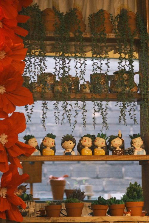 Free Colorful indoor plant display with decorative pots on shelves surrounded by vibrant red flowers. Stock Photo