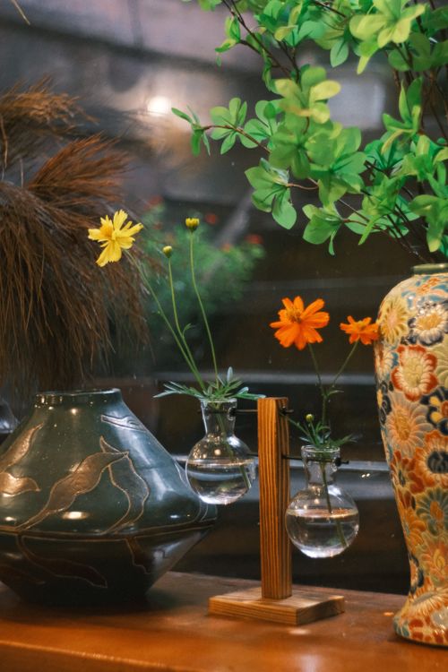 Free Charming indoor setting with floral vases and natural decorations, evoking a warm ambiance. Stock Photo
