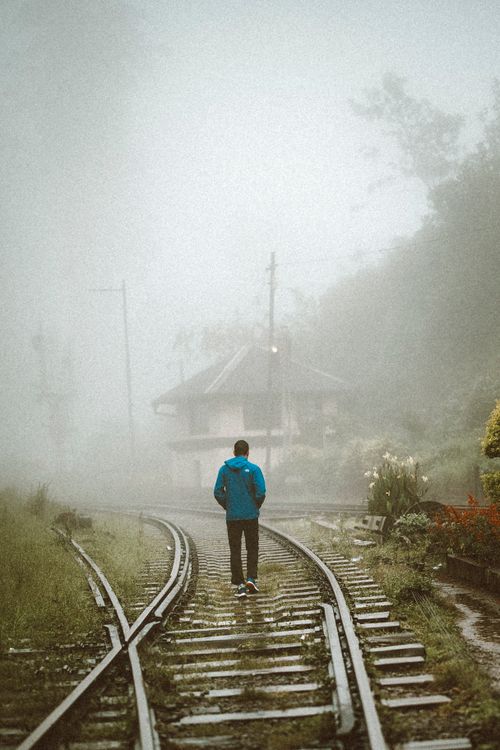 Free A solitary figure walks down mist-laden train tracks in a lush, foggy Sri Lankan landscape. Stock Photo