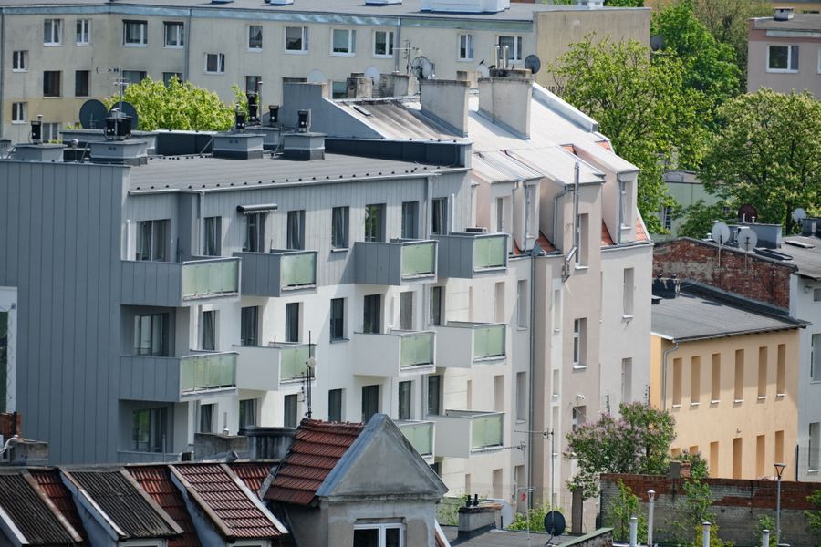 Before You Choose a Rental