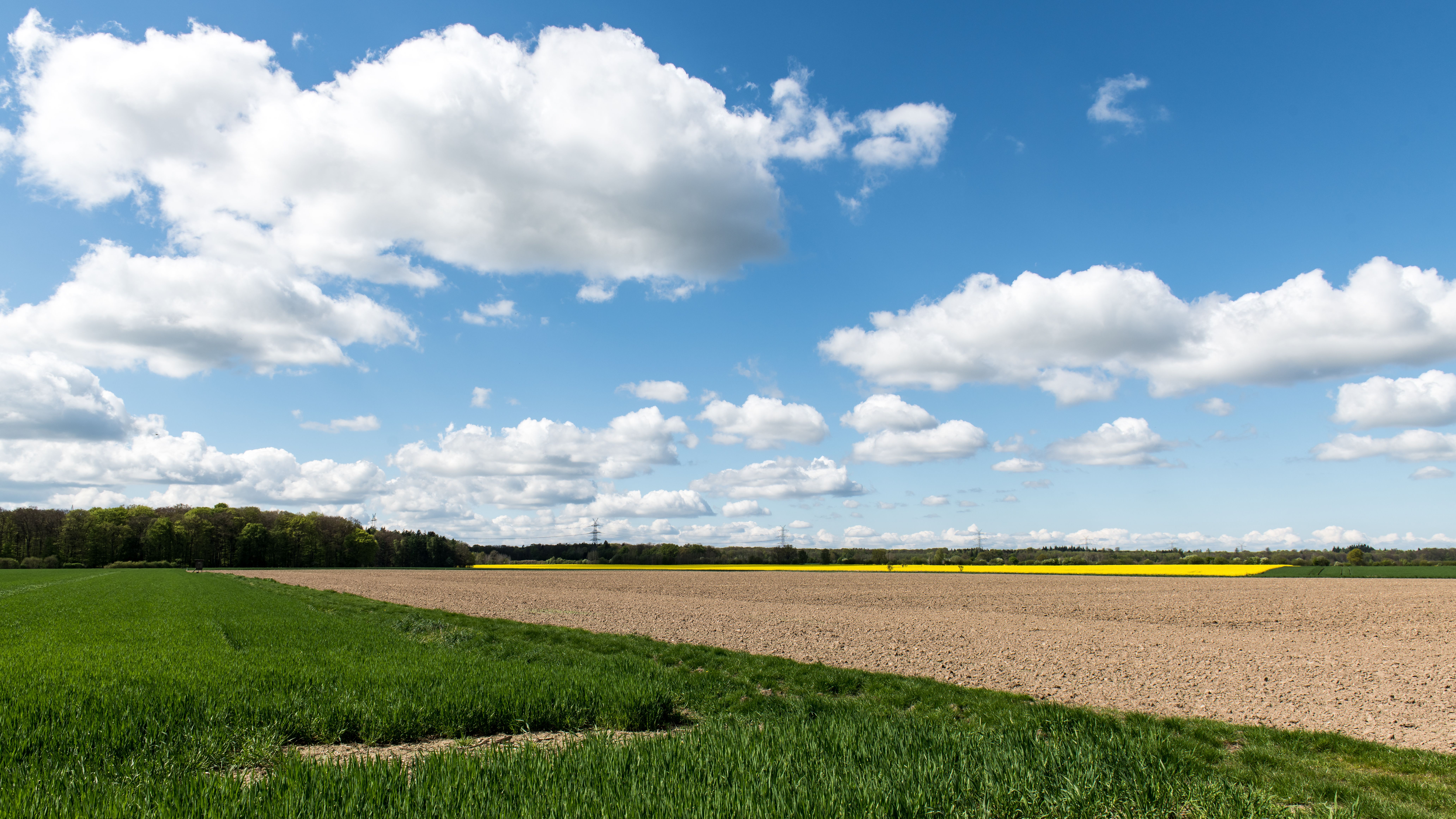 Missing Girl, 3, Found Dead in Schleswig-Holstein, Reports Say