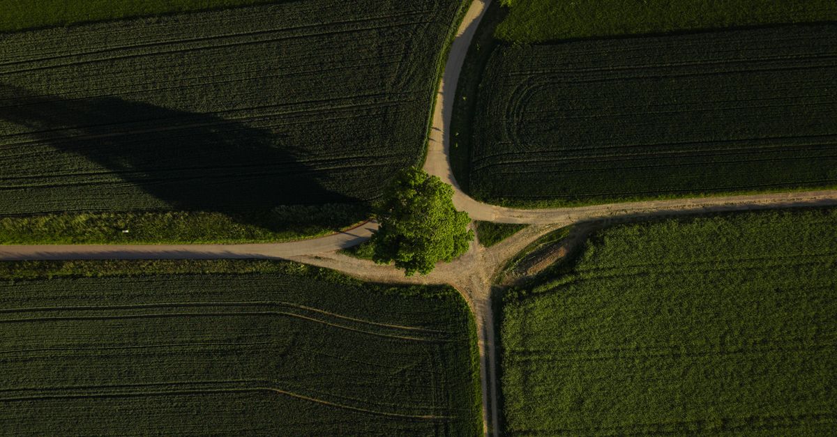 A stunning aerial view of lush green fields intersected by country roads in Germany.