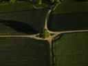 Navigating the Ethical Crossroads of AI: Safeguarding Human Creativity and IP in the Digital Age