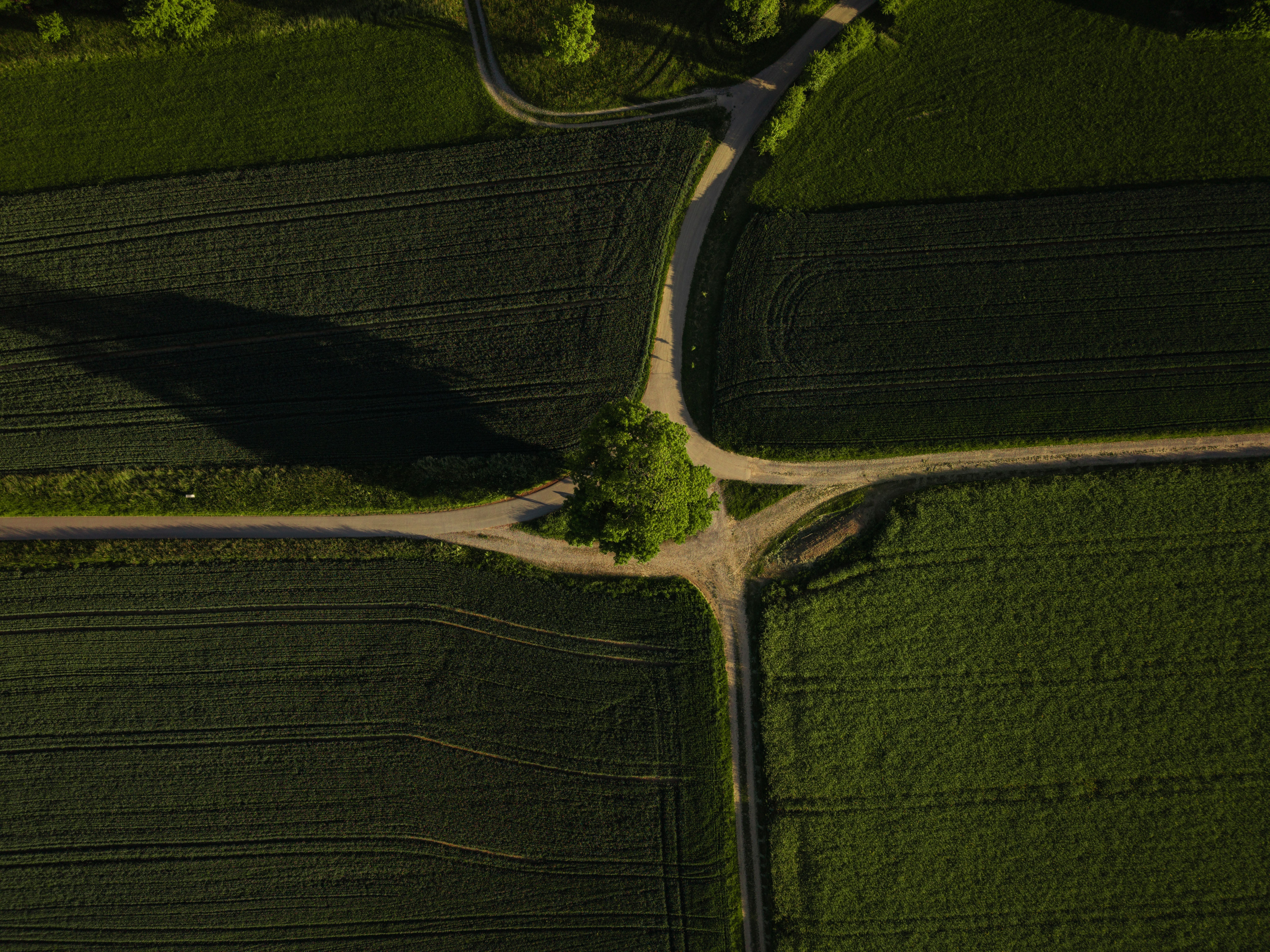 Pathways Photos, Download The BEST Free Pathways Stock Photos & HD Images
