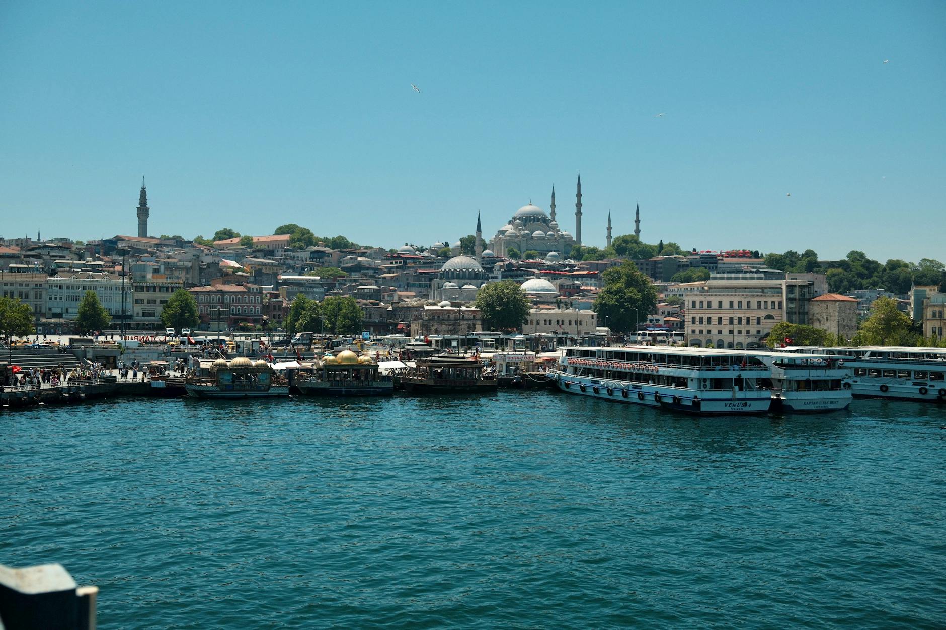 블루 모스크 갤러리 이미지