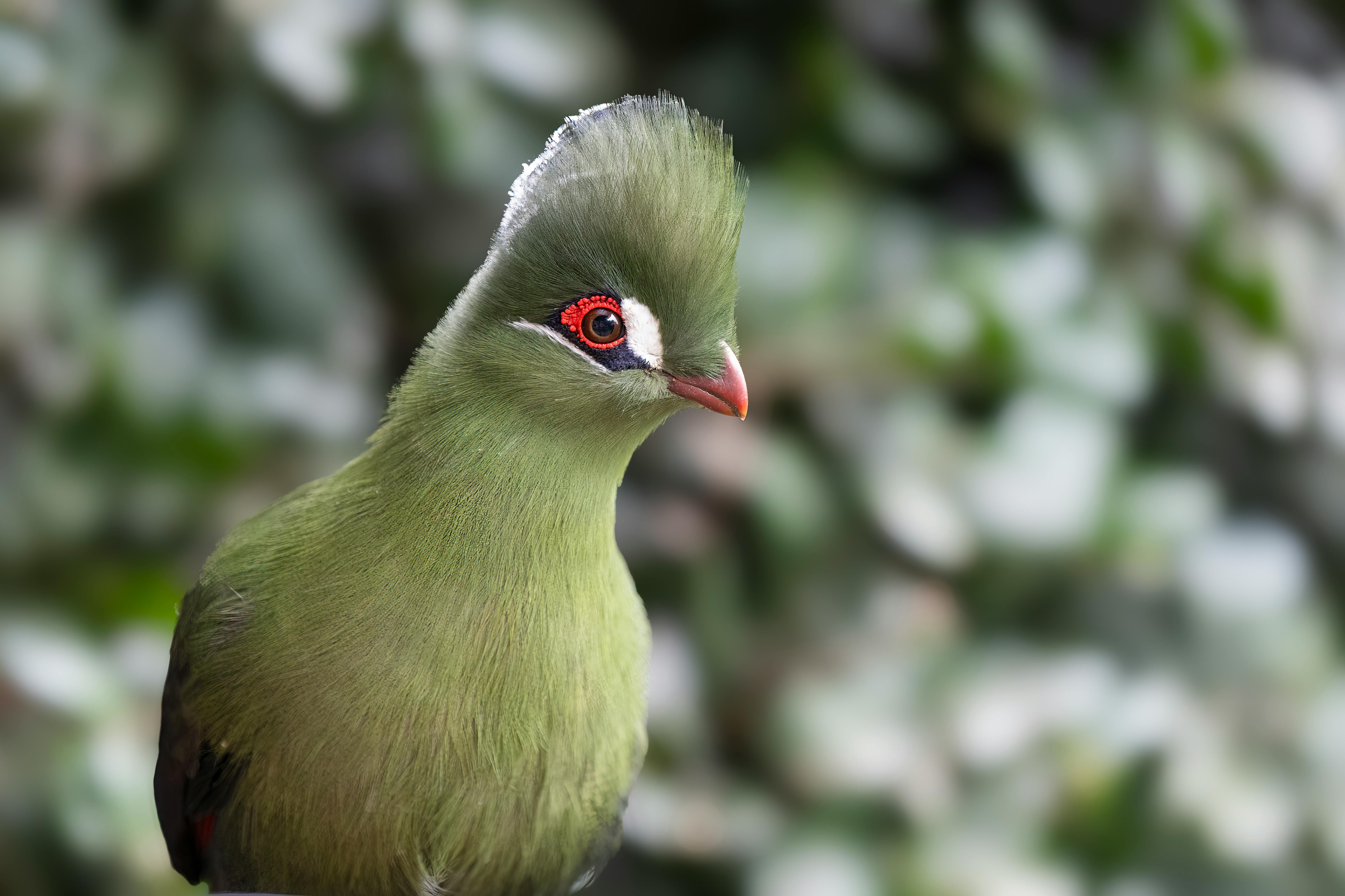 Knysna, South Africa travel photo