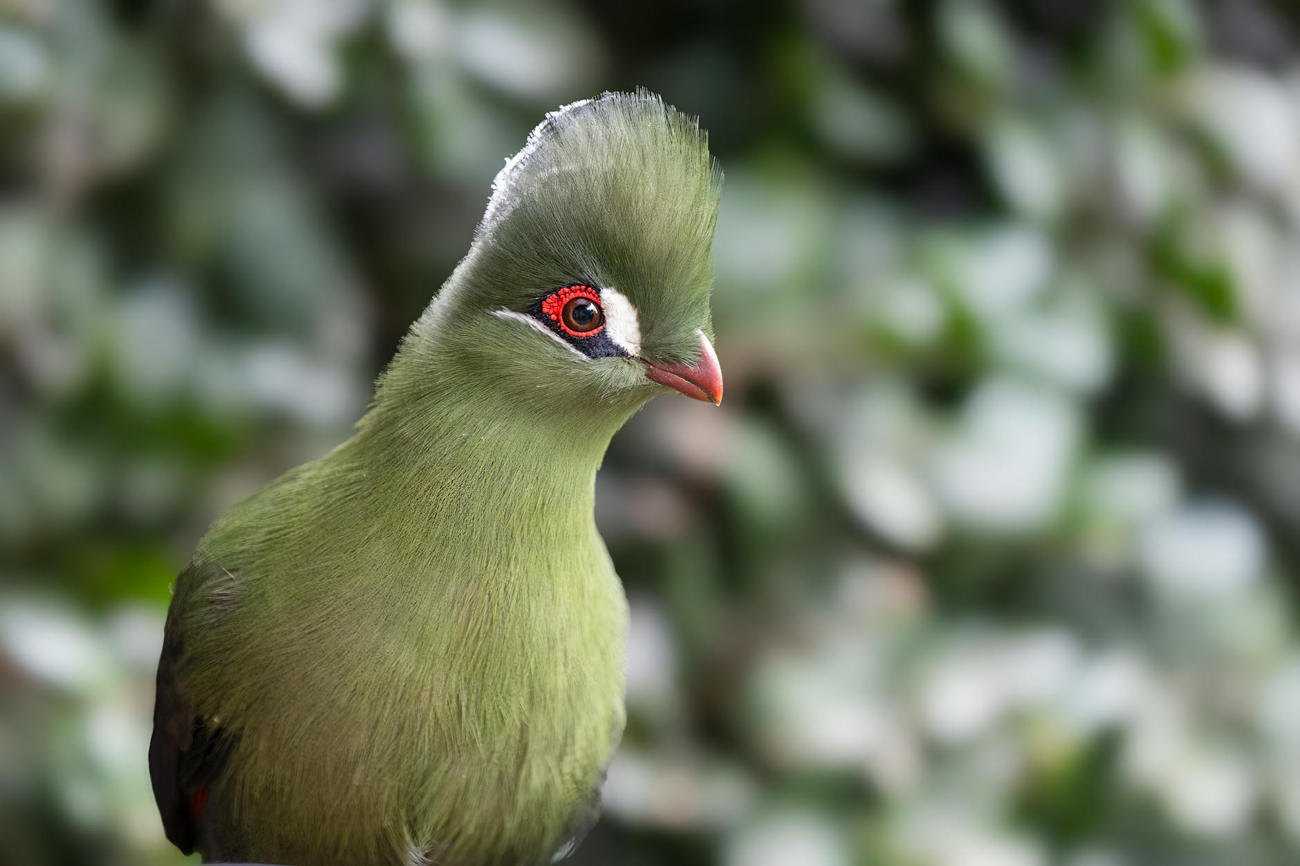 Popular sights in Knysna Landmarks in Knysna