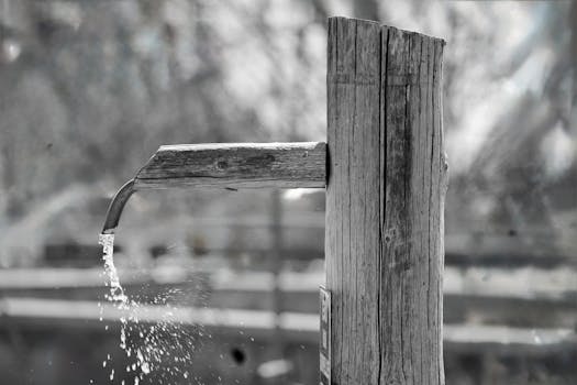 A rustic wooden water spout pours water, surrounded by a natural setting. Captured in muted tones.