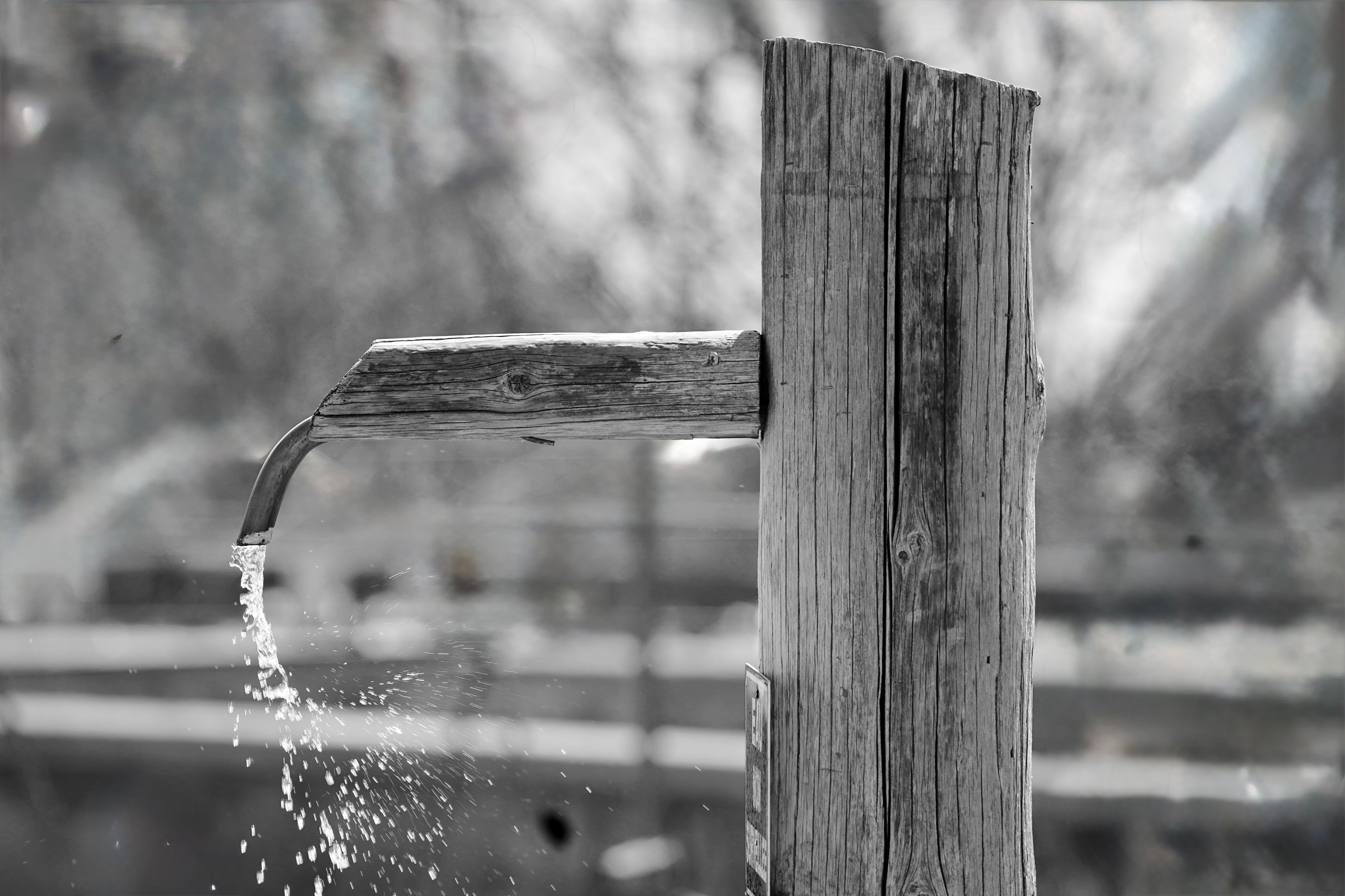 Rustic Wooden Water Spout Amidst Nature · Free Stock Photo