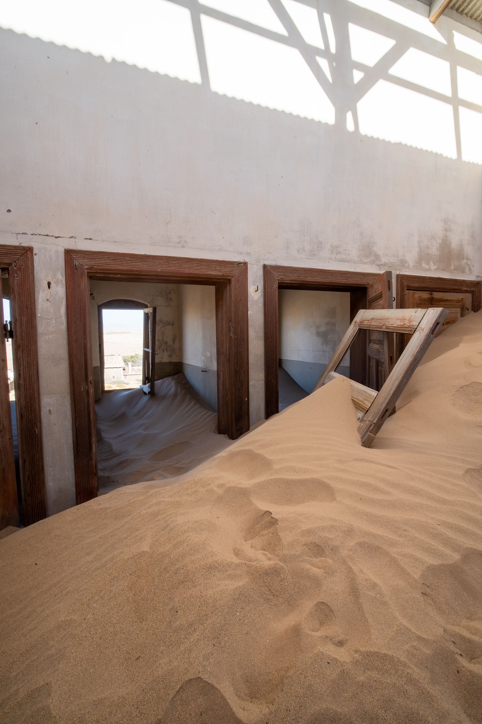 Quiver Tree Forest Namibia Photos, Download The BEST Free Quiver Tree ...