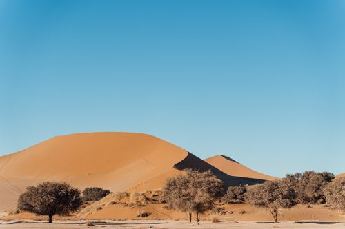 Free Stunning view of sand dunes and trees in Namibia's Namib Desert under a clear blue sky. Stock Photo