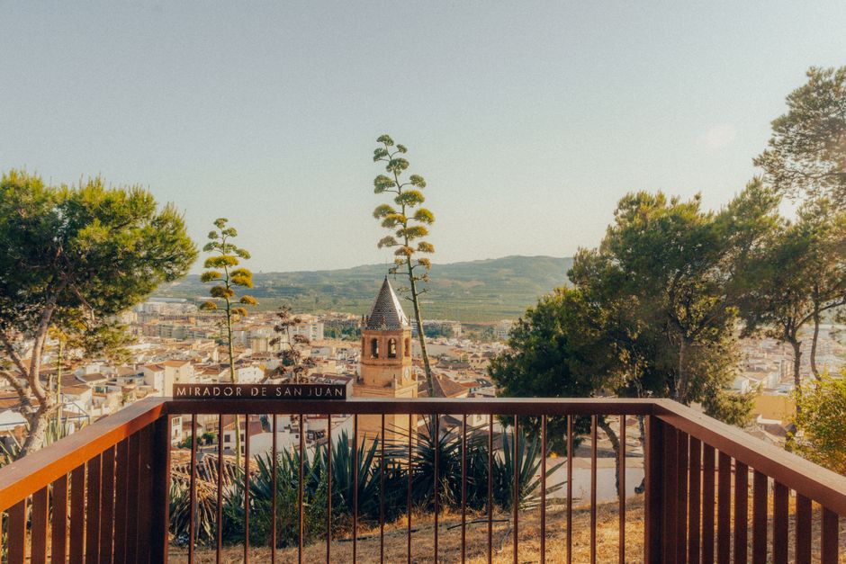 https://images.pexels.com/photos/32459503/pexels-photo-32459503.jpeg?auto=compress&cs=tinysrgb&h=650&w=940