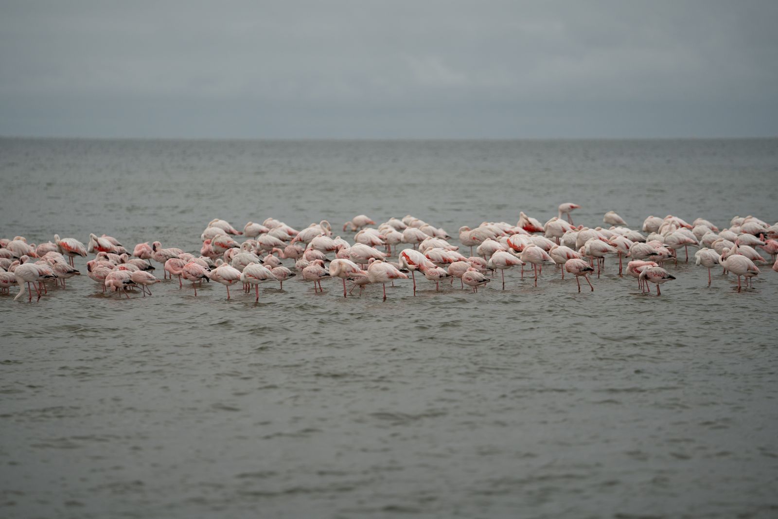 Lake Manyara