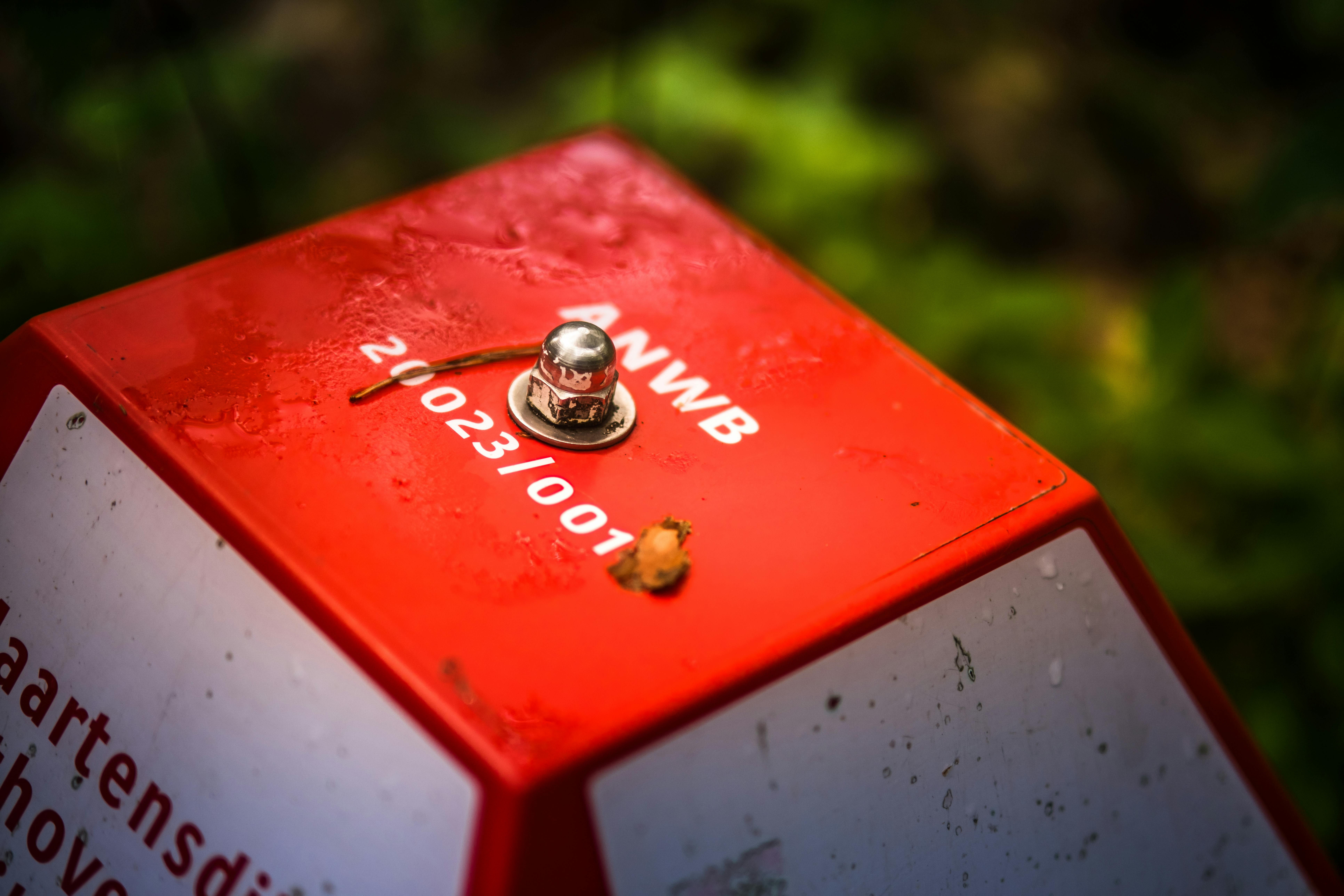 Zadarmo Detailný záber na červenú značku chodníka v lesnom prostredí s jesennými listami a jasným osvetlením. Fotka z fotobanky