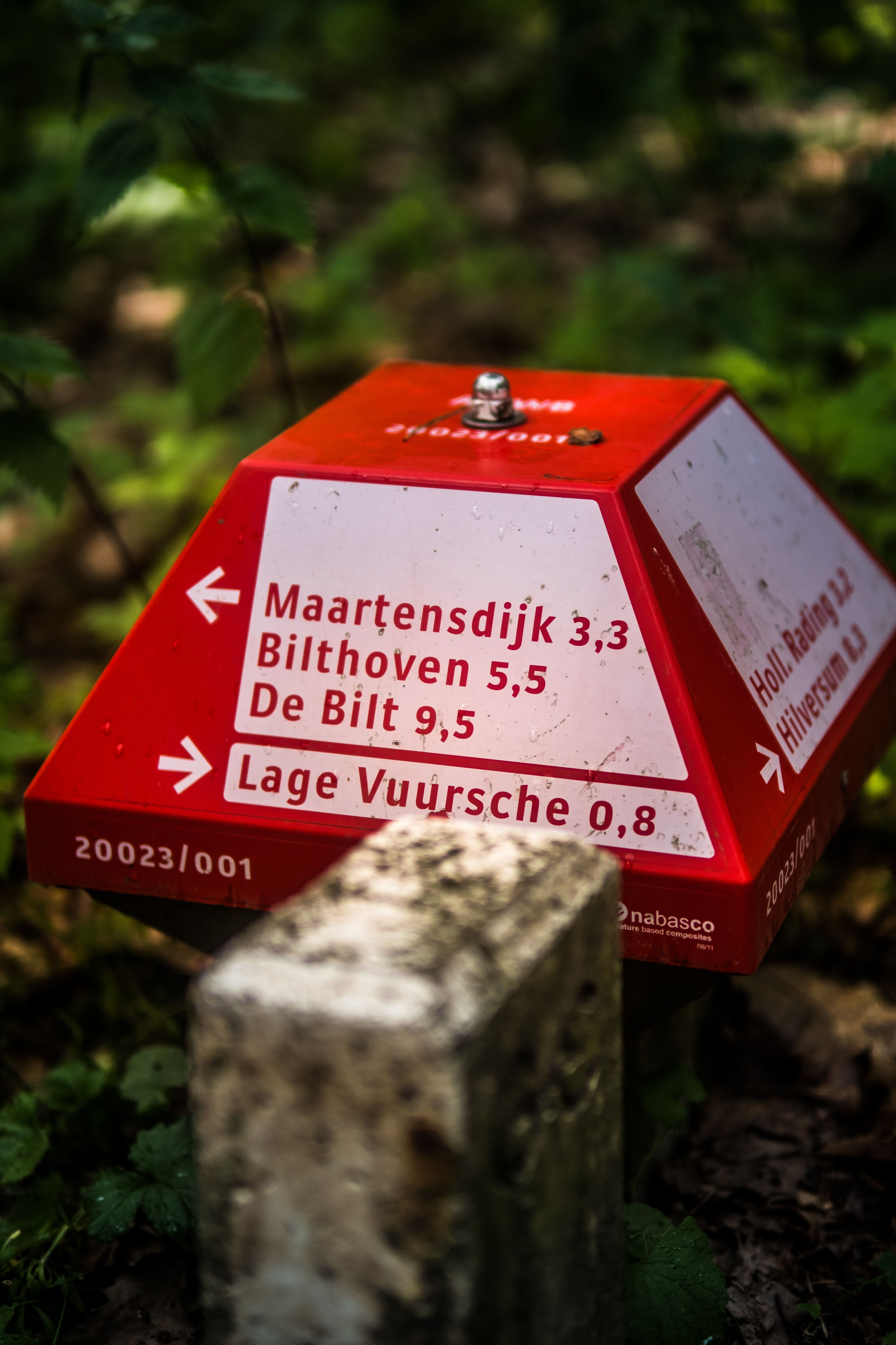 Red Signpost in Forest with Forest Path Directions · Free Stock Photo