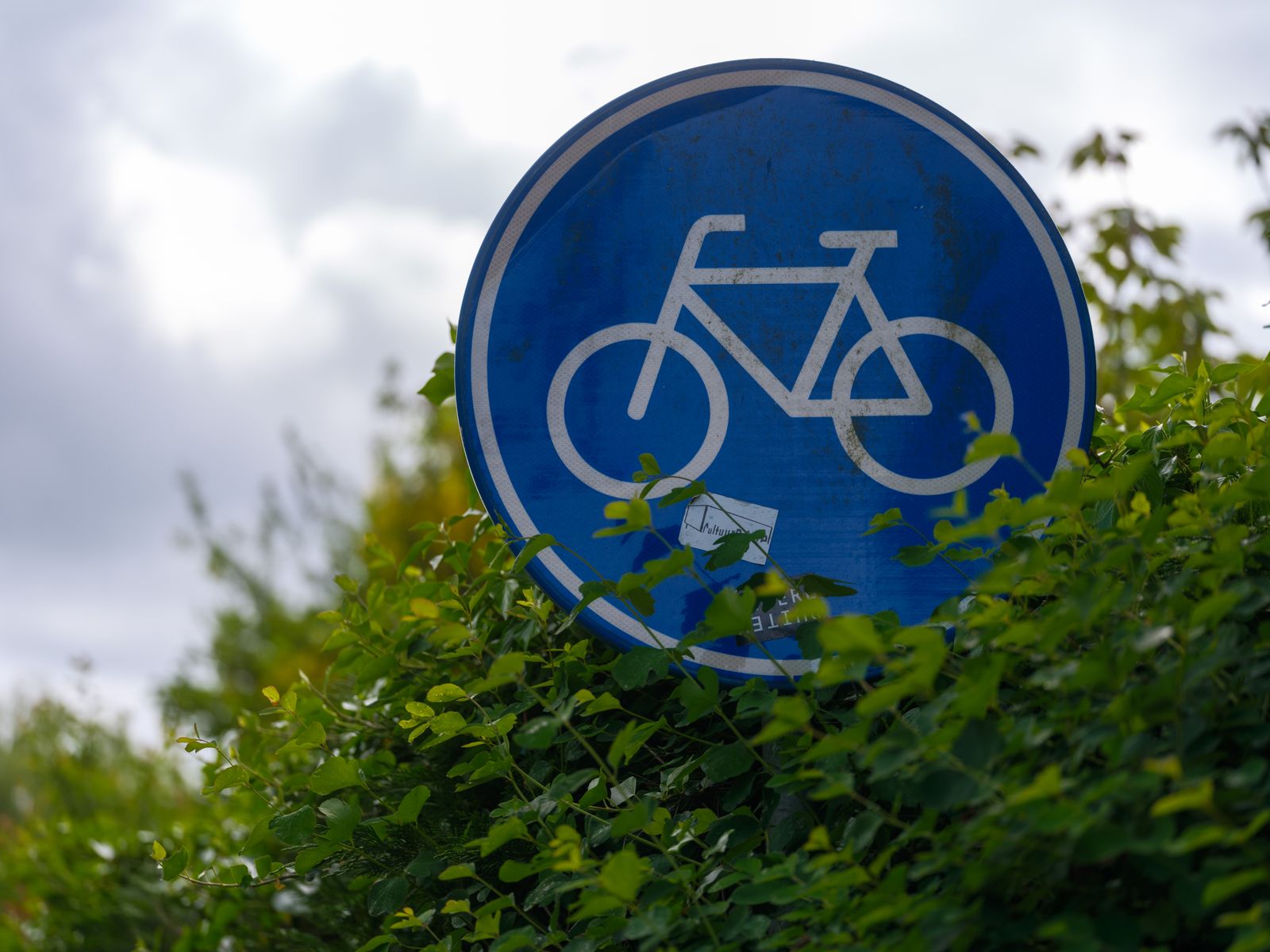 Fietsen is hier anders geregeld dan thuis