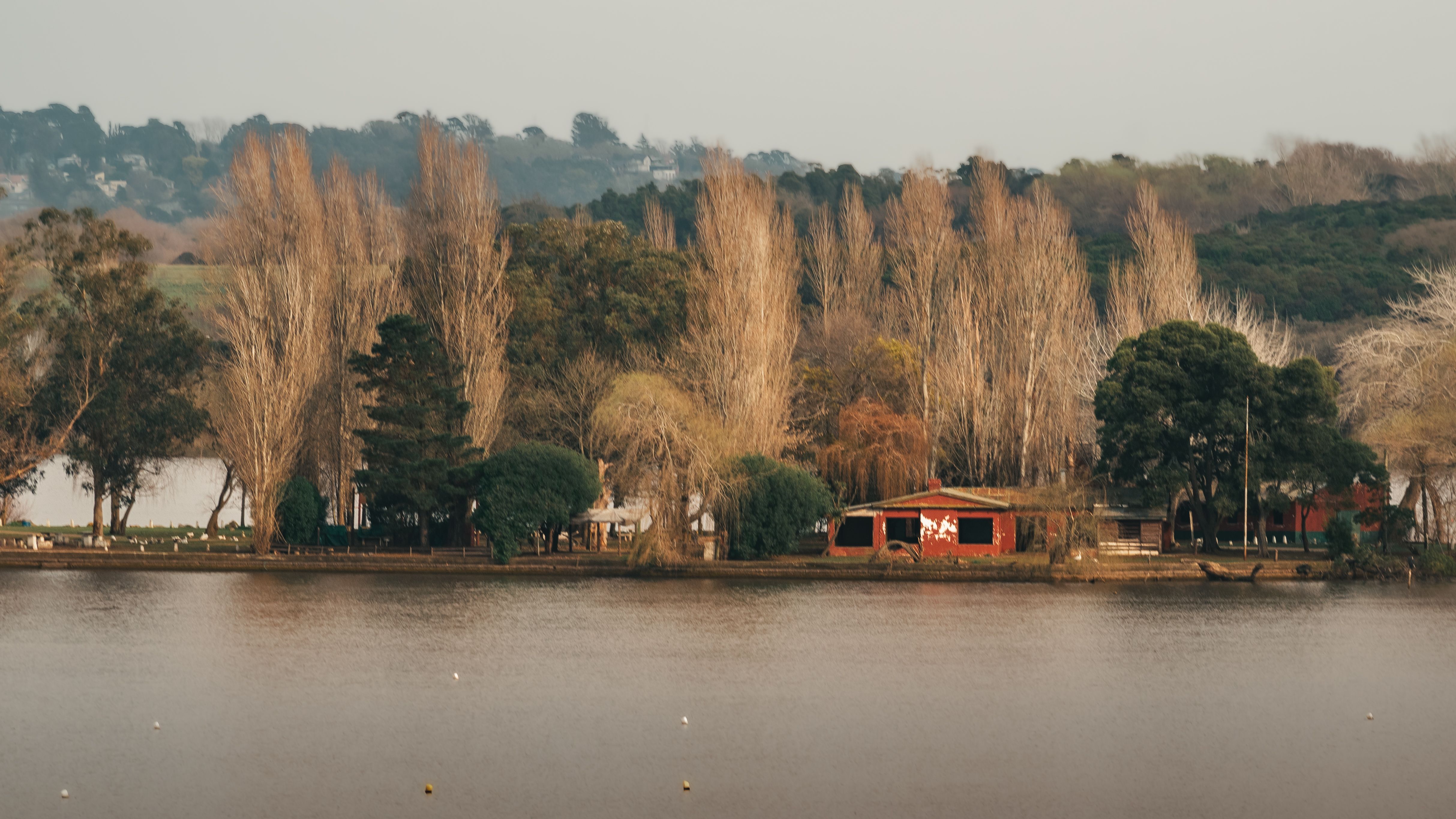 Tranquil lakeside scene with trees and rustic cabin in Mar del Plata, Argentina.