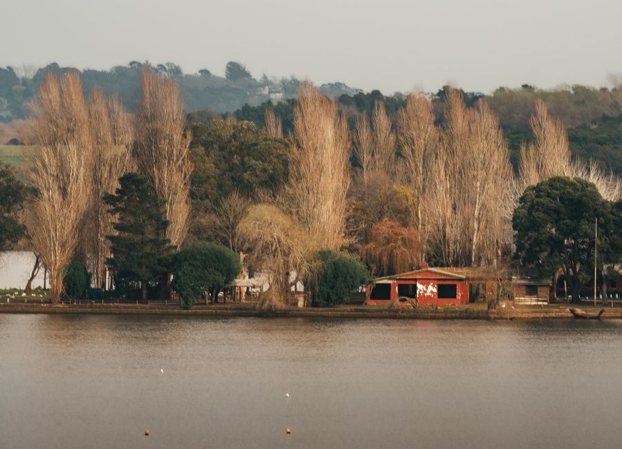 Tranquil lakeside scene with trees and rustic cabin in Mar del Plata, Argentina.