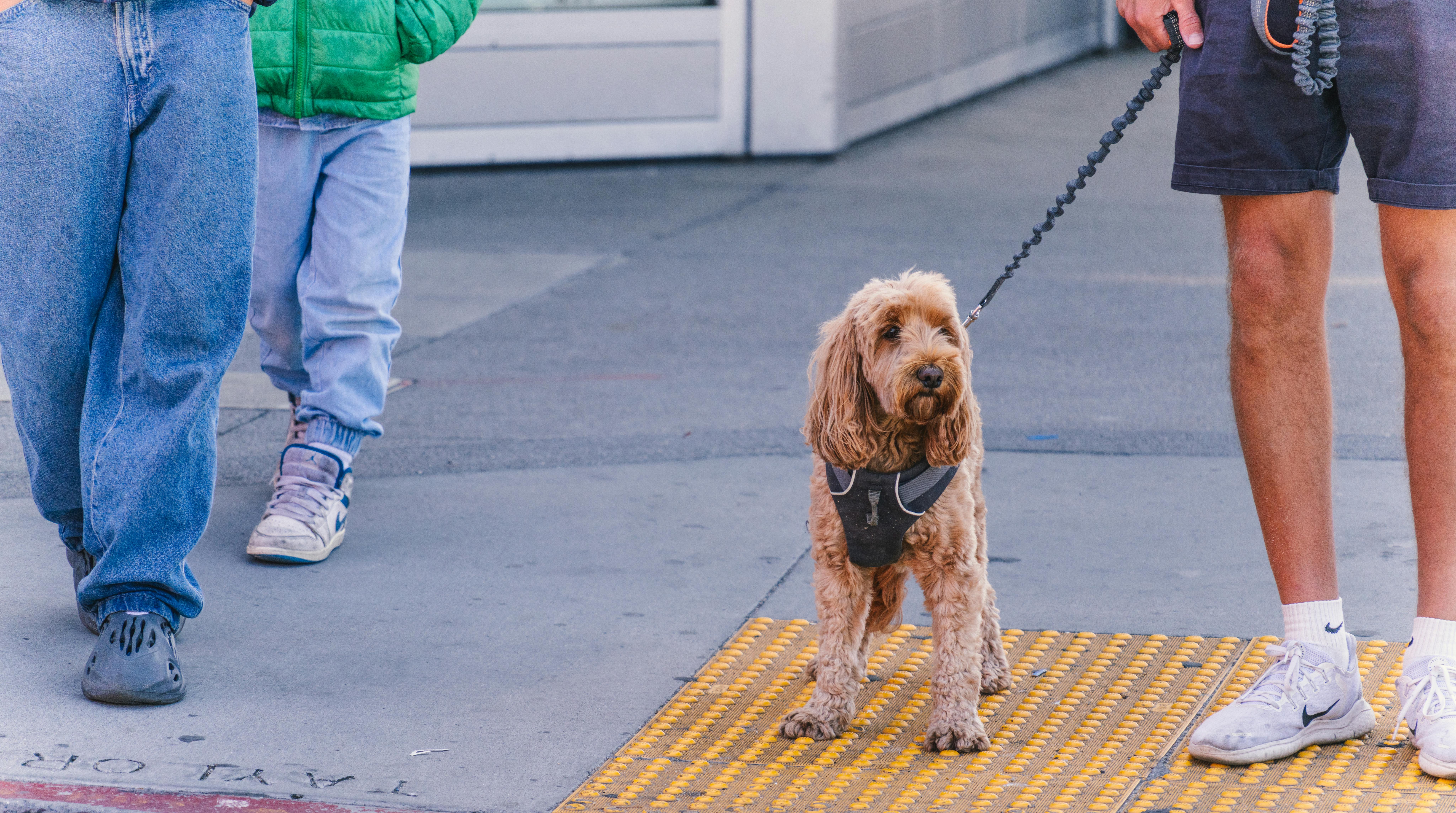 Common Walking Mistakes and How to Fix Them