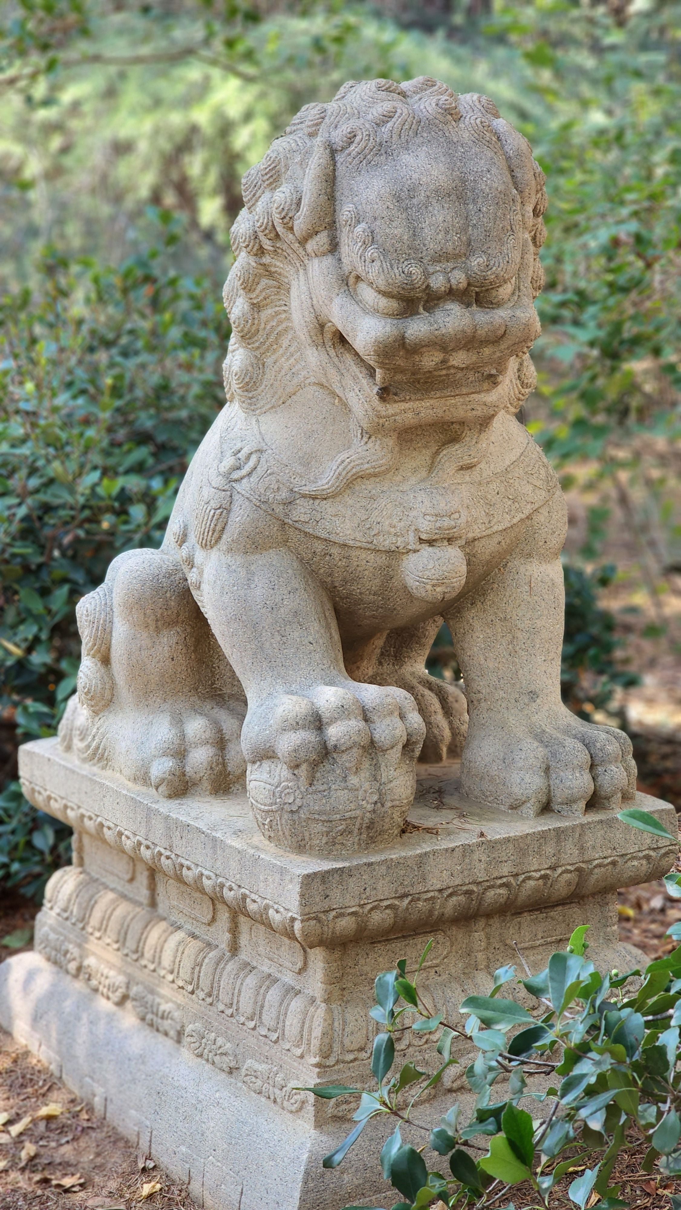 Gratuit Une statue de lion gardien en pierre sculptée dans un cadre serein de jardin de Pasadena. Photos