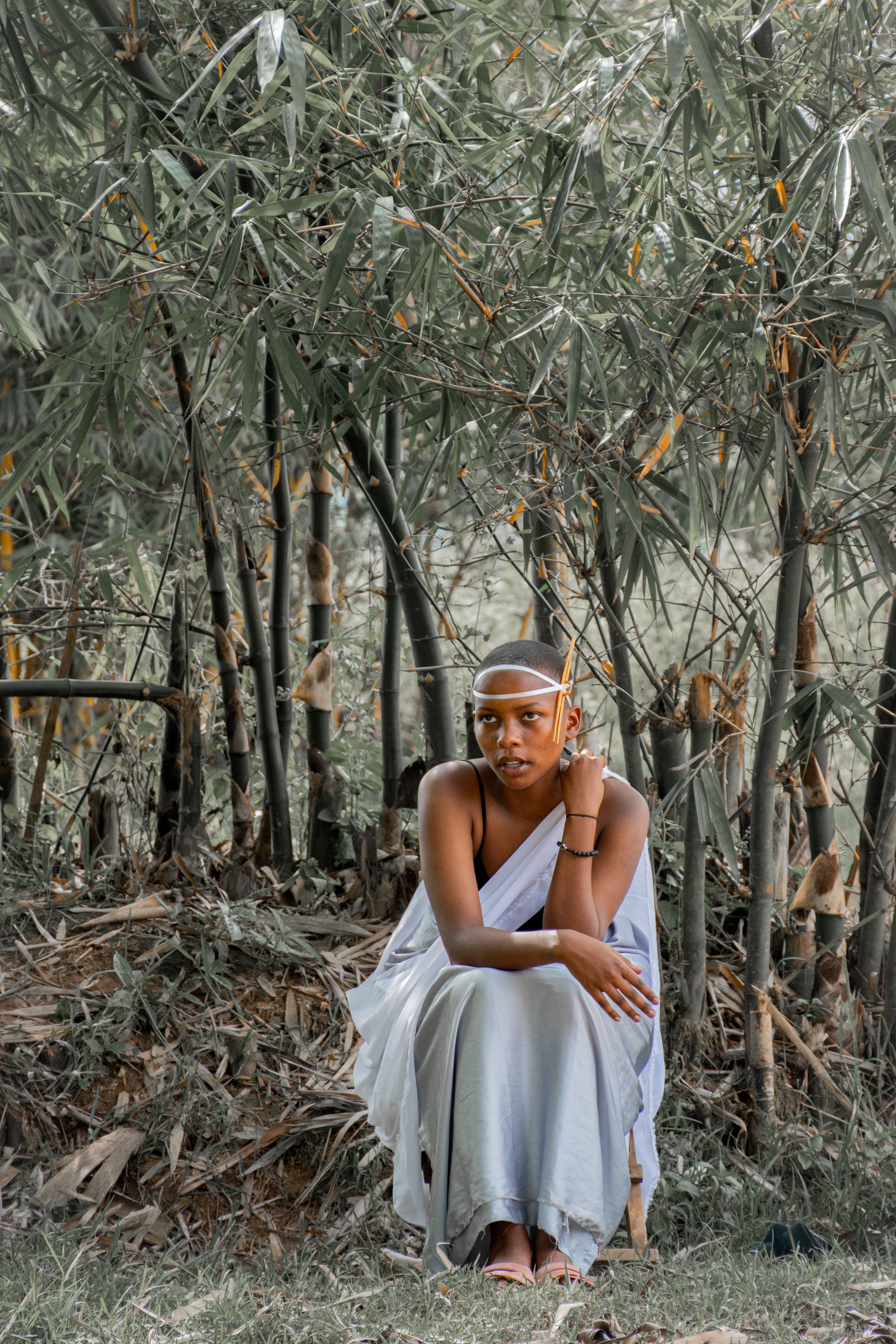 Woman in white dress sits surrounded by bamboo in serene forest setting.