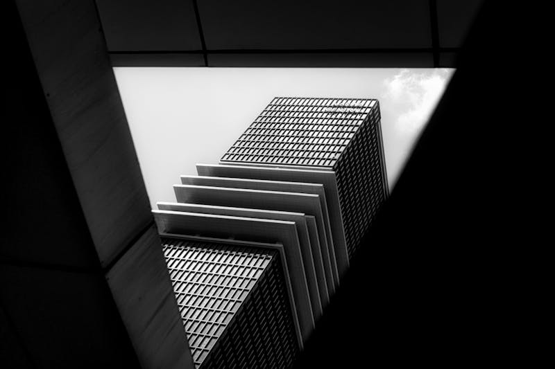 Ray Hamad