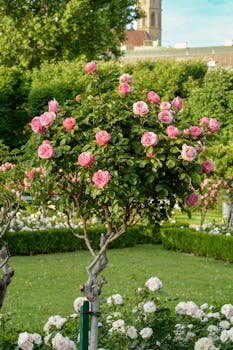 Image by Nataly Nagorska