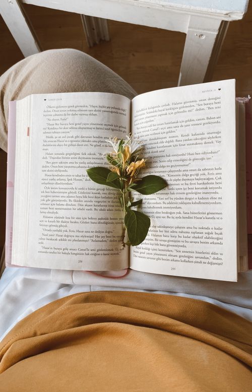 Free Open book with blossoms resting, creating a cozy and contemplative reading atmosphere. Stock Photo