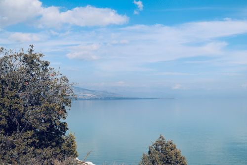 Free Peaceful shoreline vista with calm sea and lush trees under a bright blue sky. Stock Photo