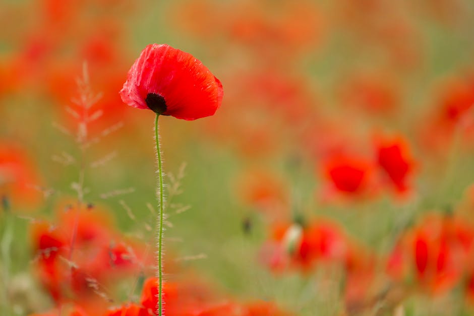 Unlocking the Benefits of Embracing New Opportunities