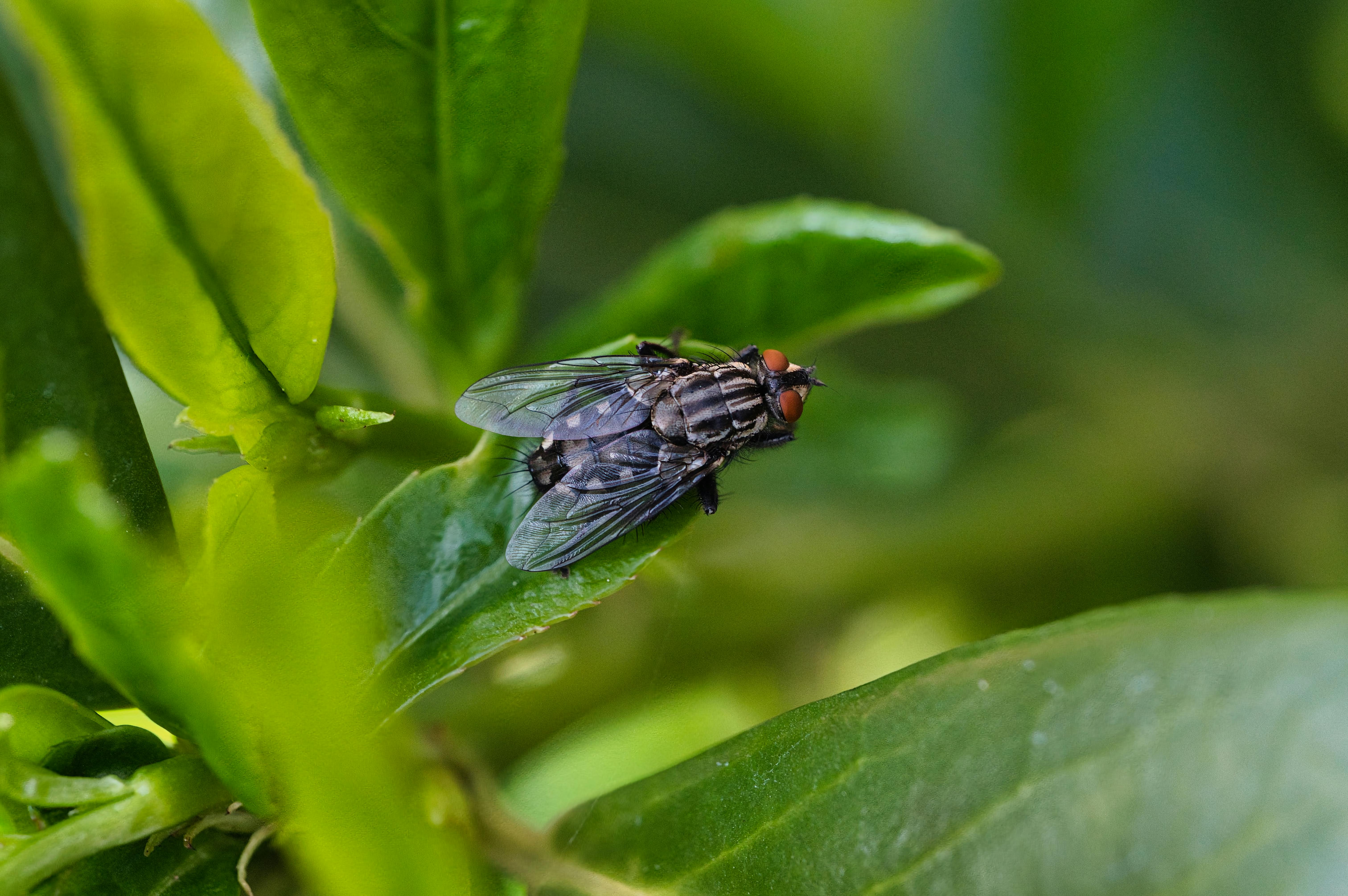 Innovative Mental Focus Techniques That Outshine Traditional Methods