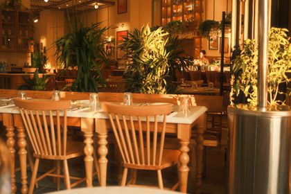 Plant-filled dining room in evening light — photo by yağız uçal on Pexels