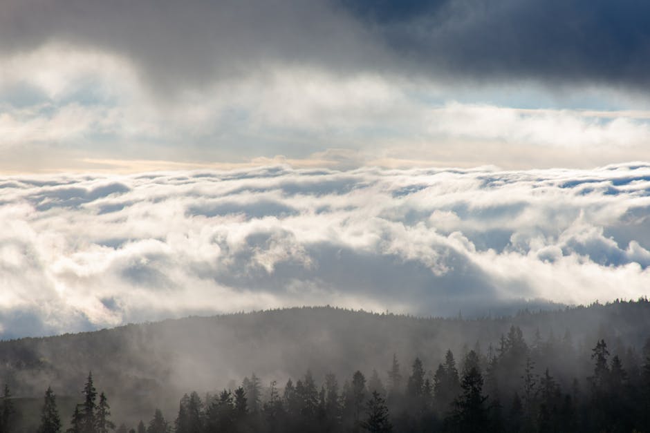 Tomorrows weather forecast: sun, clouds, rain? Find out!