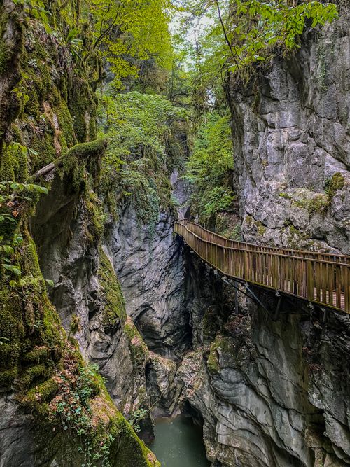 Free Wooden walkway winding through a lush, green rocky gorge. Stock Photo