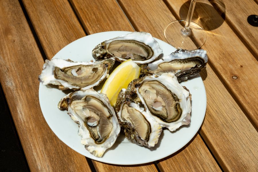 Fresh oysters with lemon and a glass of white wine
