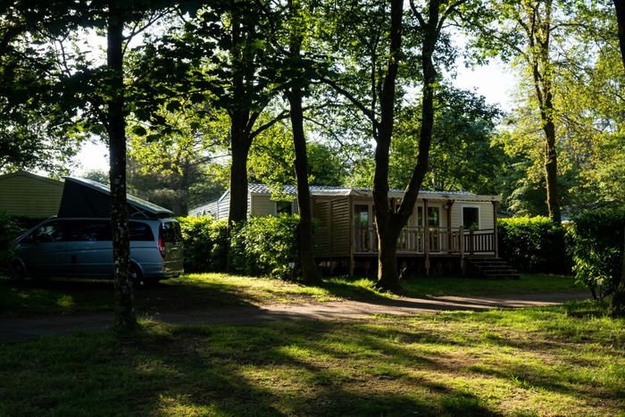 A manufactured home community home with landscaping