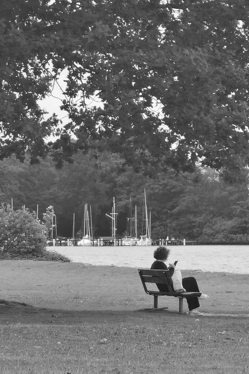 Free Black and white scene of a person sitting on a bench by a lake with sailboats, under a tree. Stock Photo