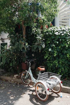 Charming vintage tricycle with basket parked on a sunny day under leafy trees.
