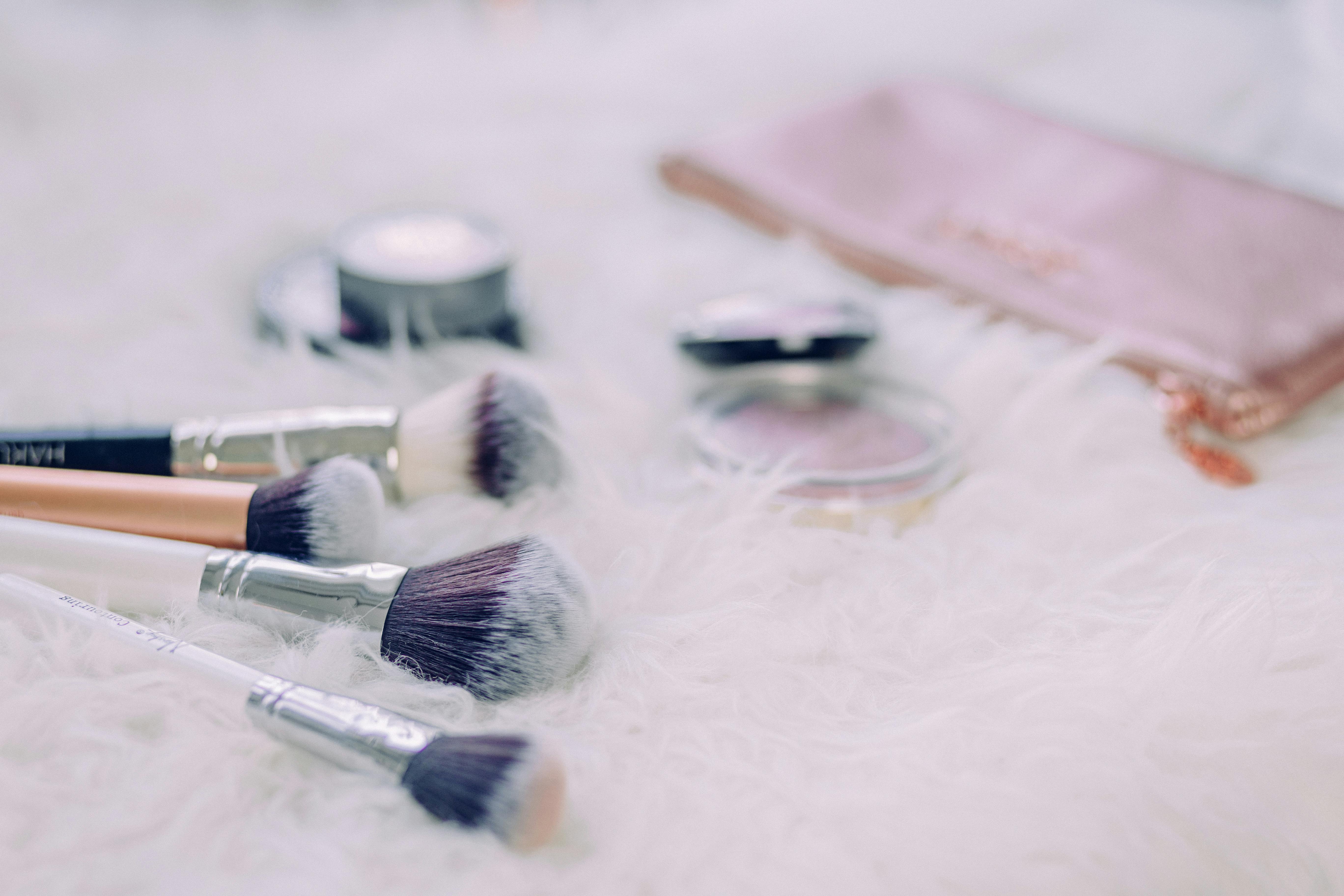Makeup Brush Set \u00b7 Free Stock Photo